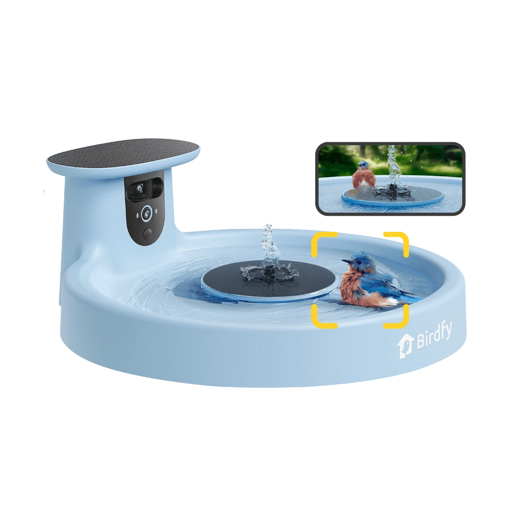 Birdfy Feeder 2 Duo