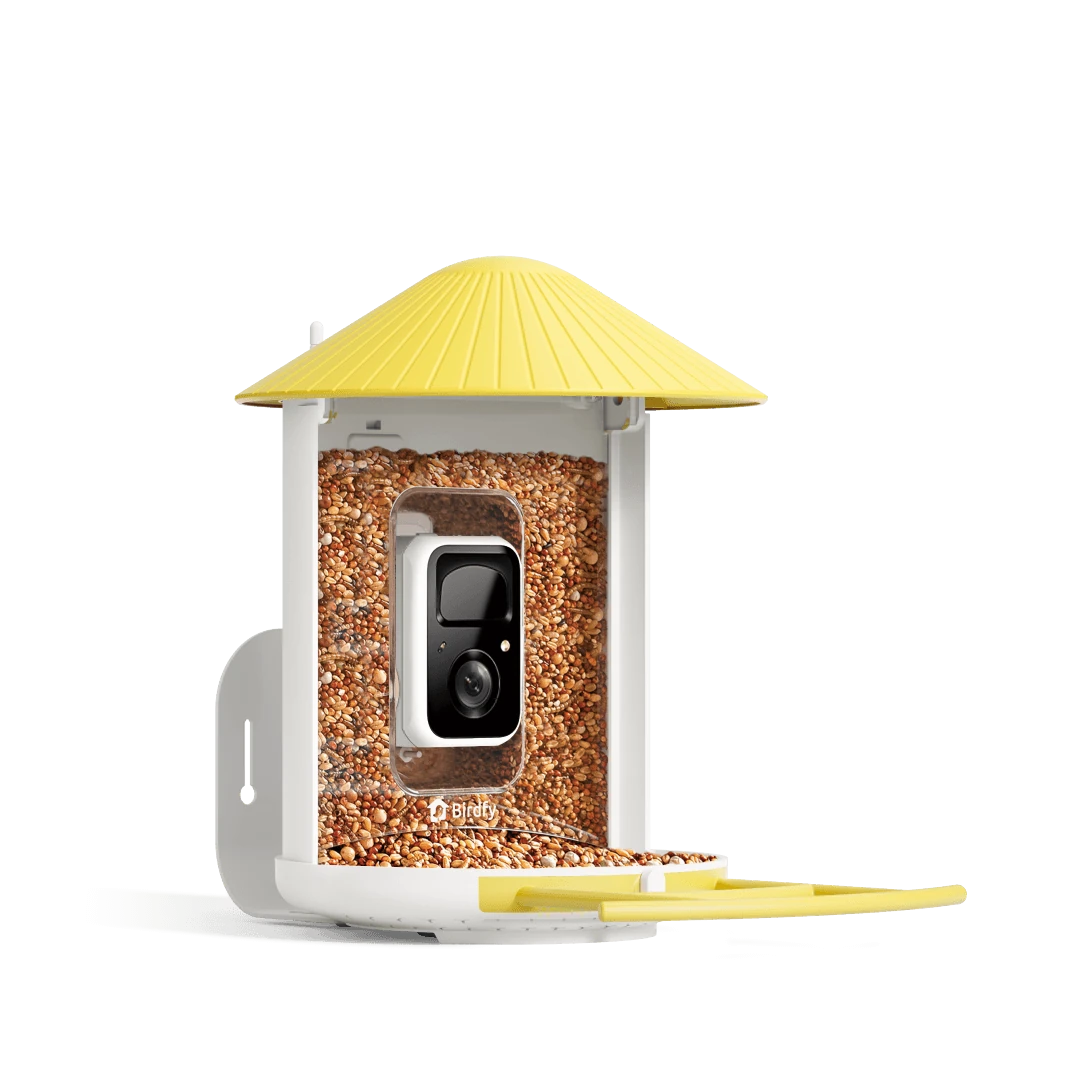 Birdfy Feeder 2 Duo thumbnail 2