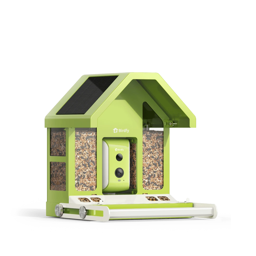Birdfy Feeder 2 Duo thumbnail 3