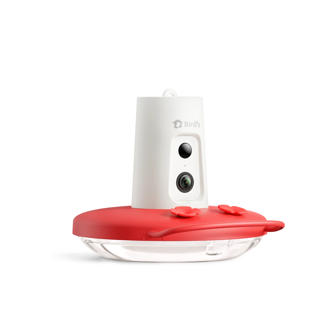 Birdfy Feeder 2 Duo thumbnail 4