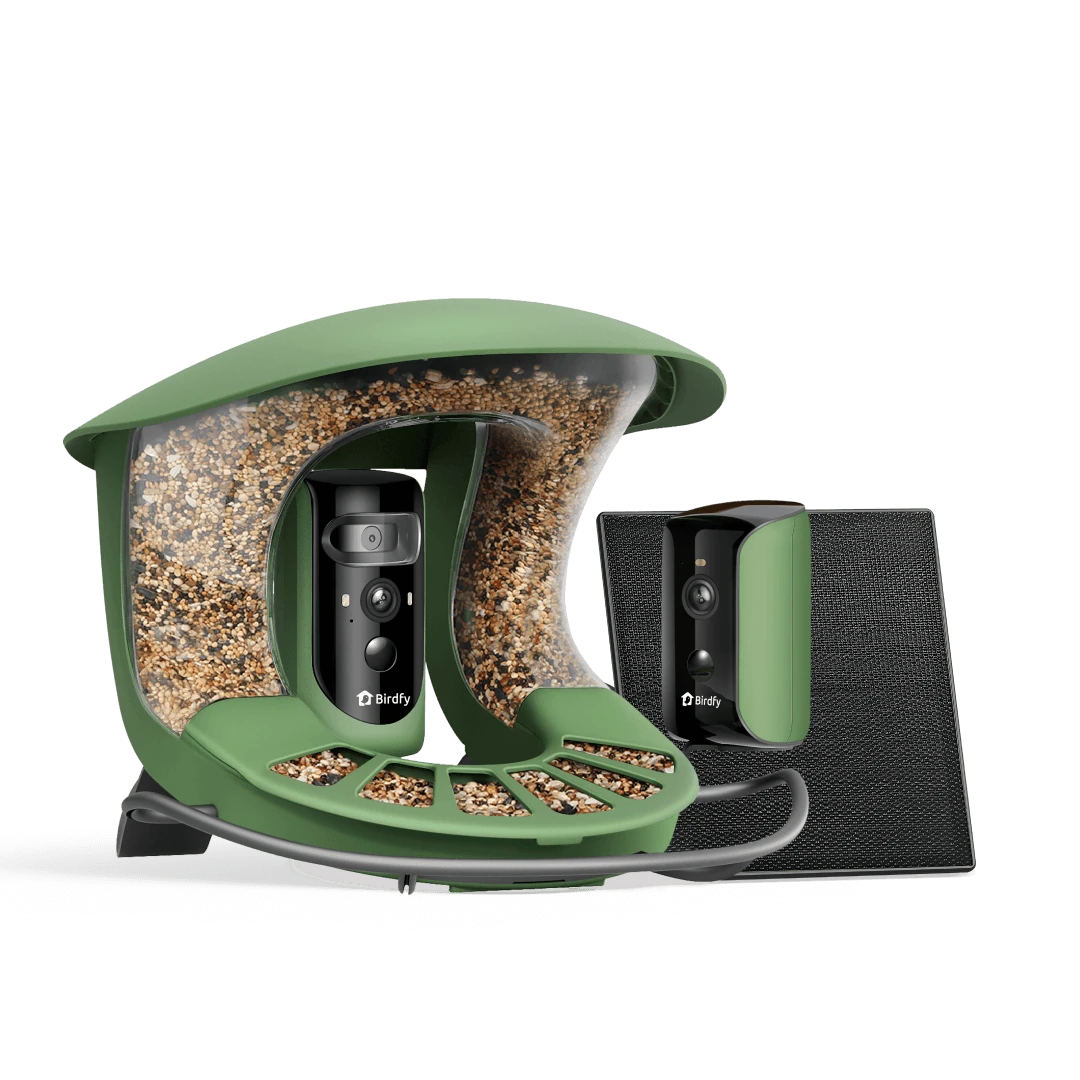Birdfy Feeder 2 Duo thumbnail 5