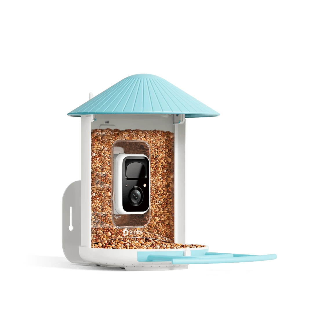 Birdfy Vista
