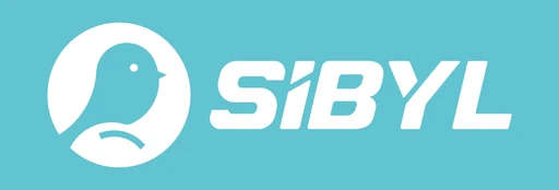 Shenzhen Sibyl Electronics Co., Ltd.